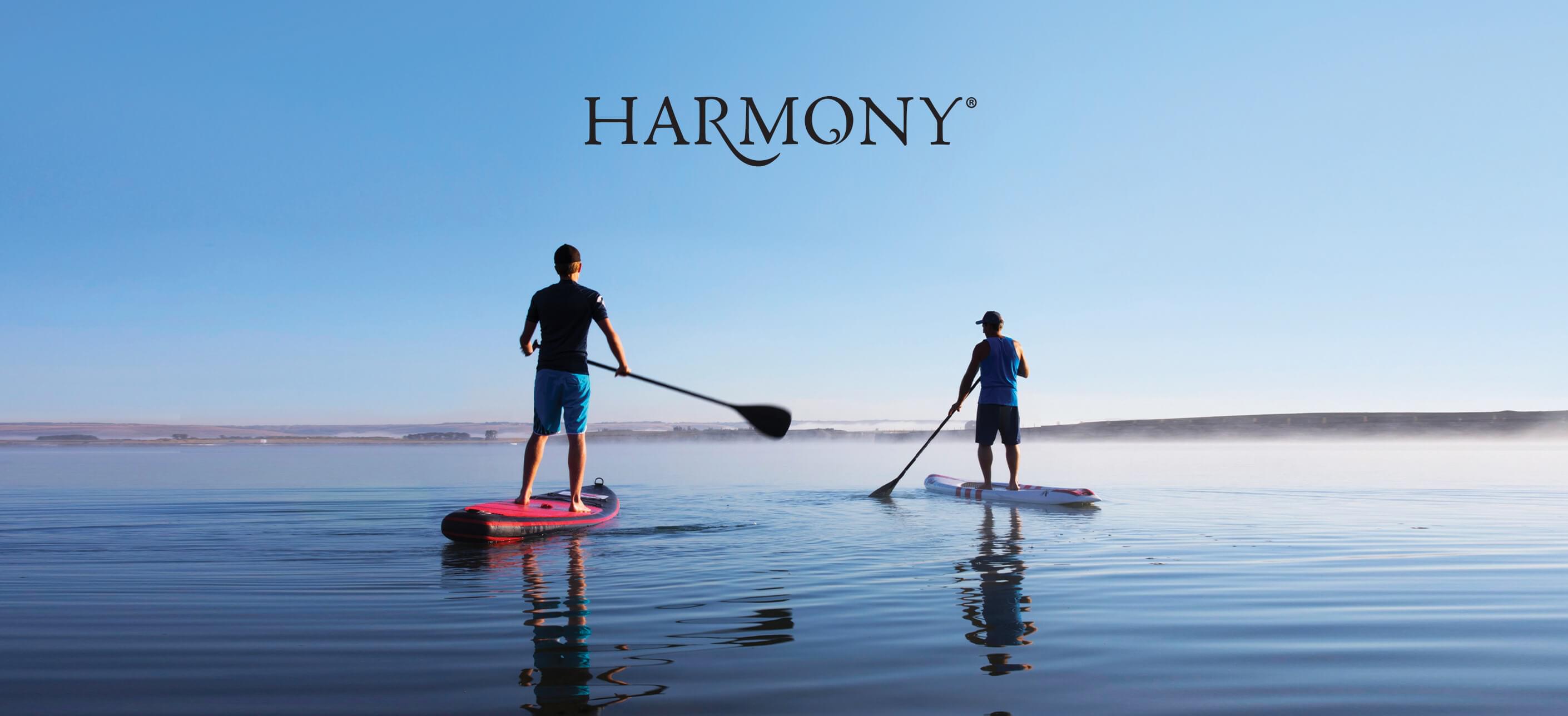 Two people stand-up paddleboarding