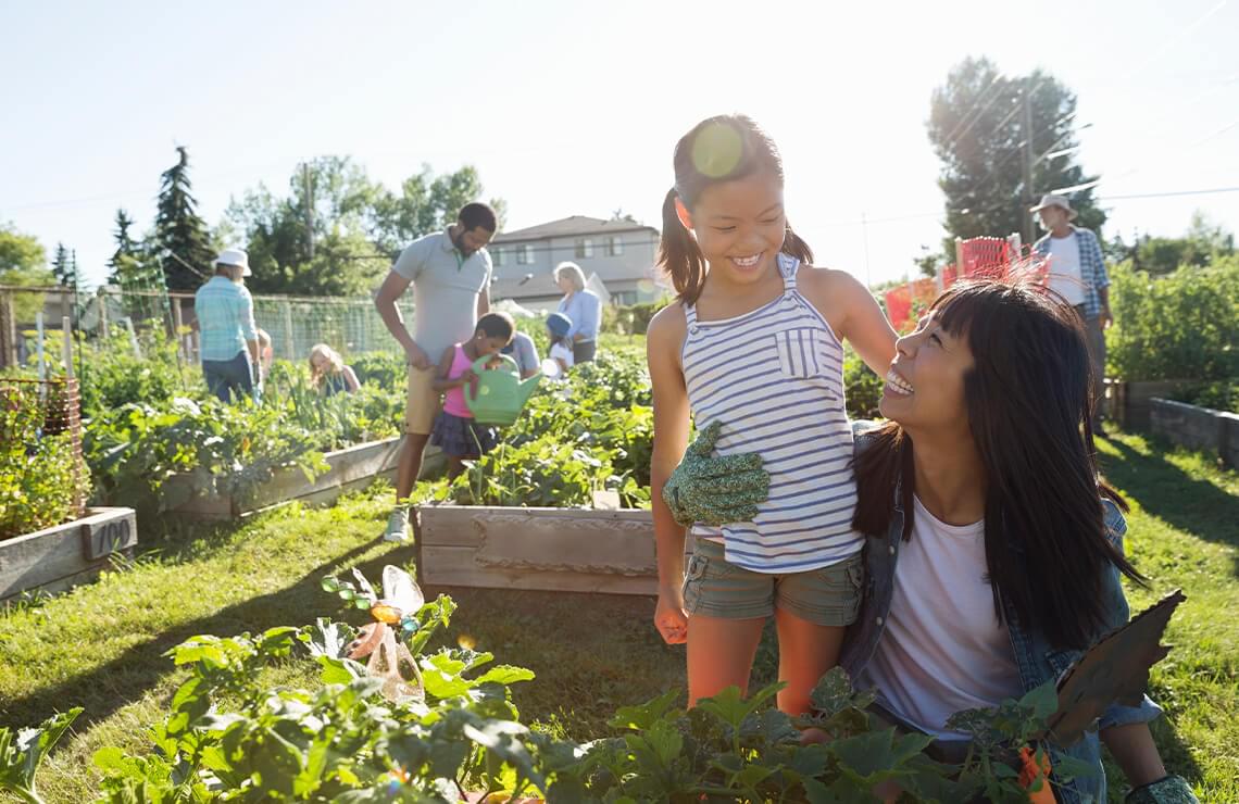 Groups of people in community garden