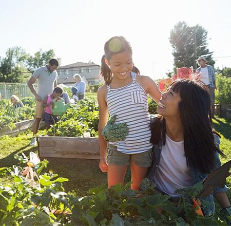 Groups of people in community garden