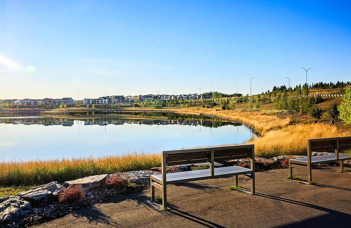 Scenic view of wetland area