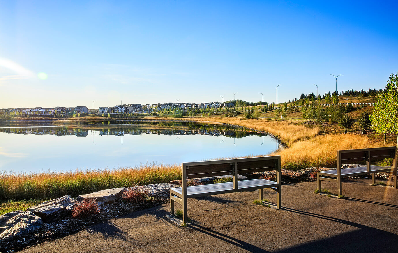 Scenic view of wetland area